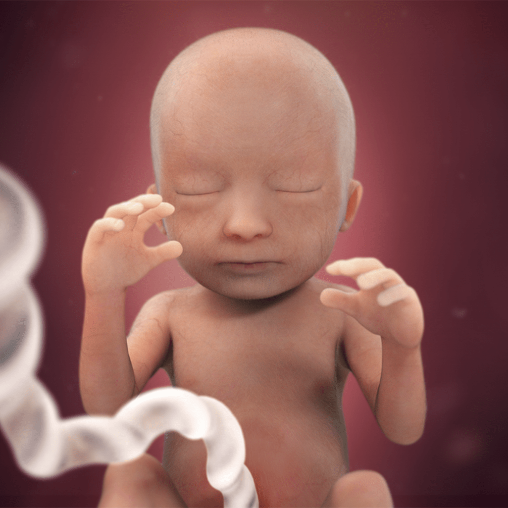 18 HƏFTƏ HAMİLƏLİK