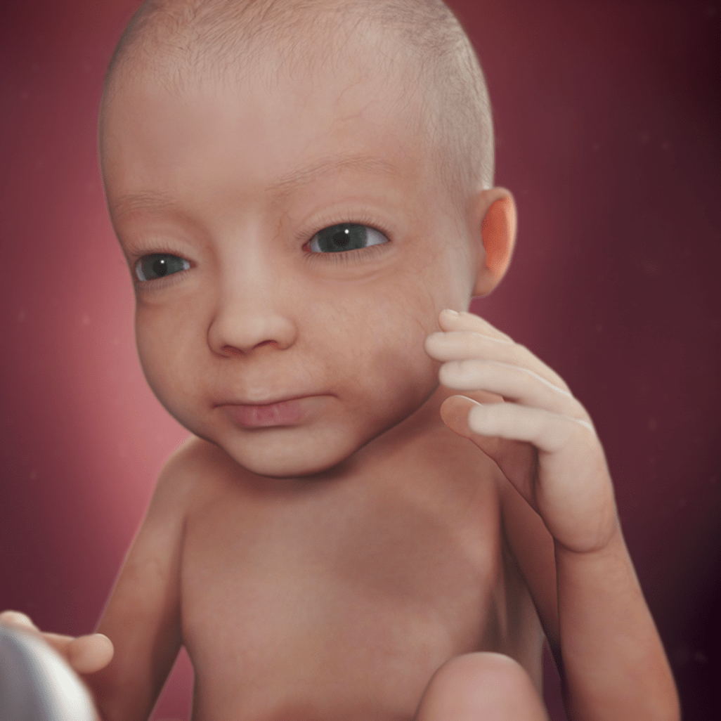 27 HƏFTƏ HAMİLƏLİK