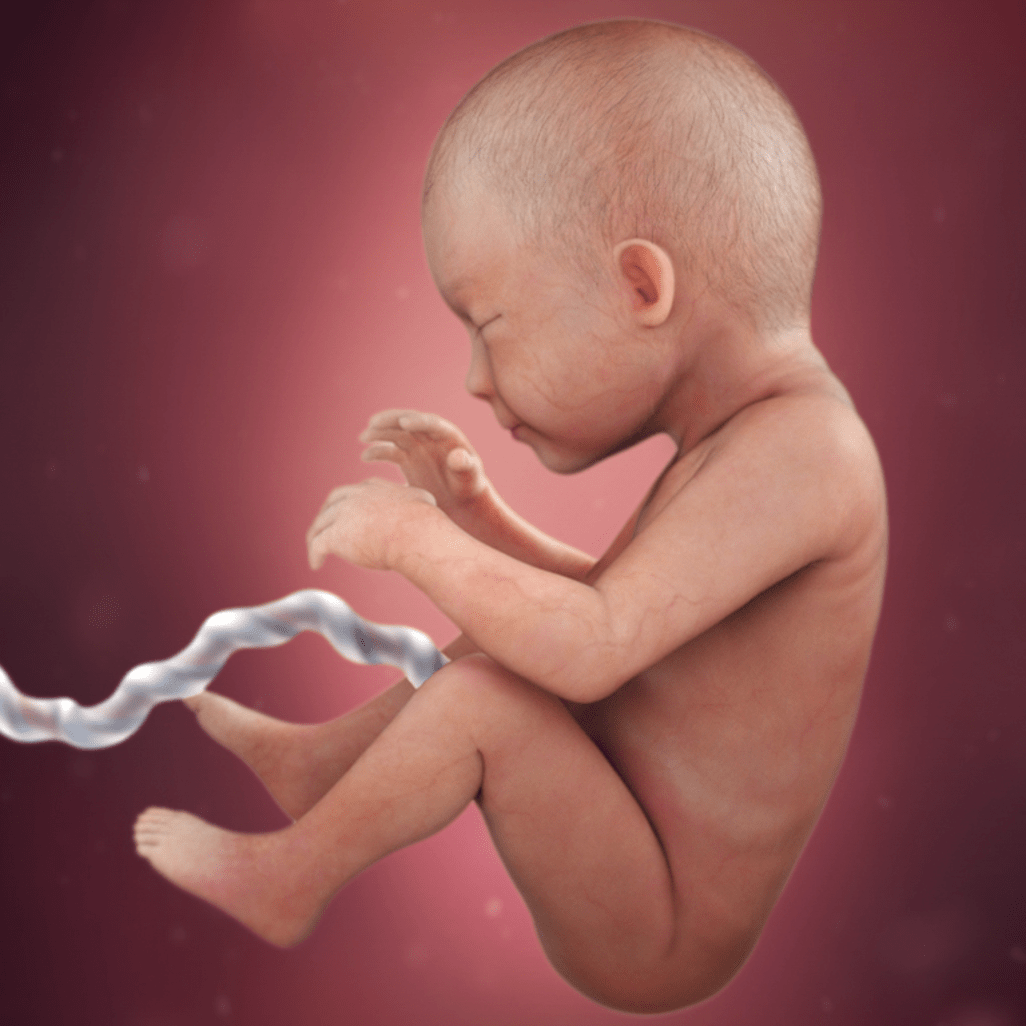 29 HƏFTƏ HAMİLƏLİK