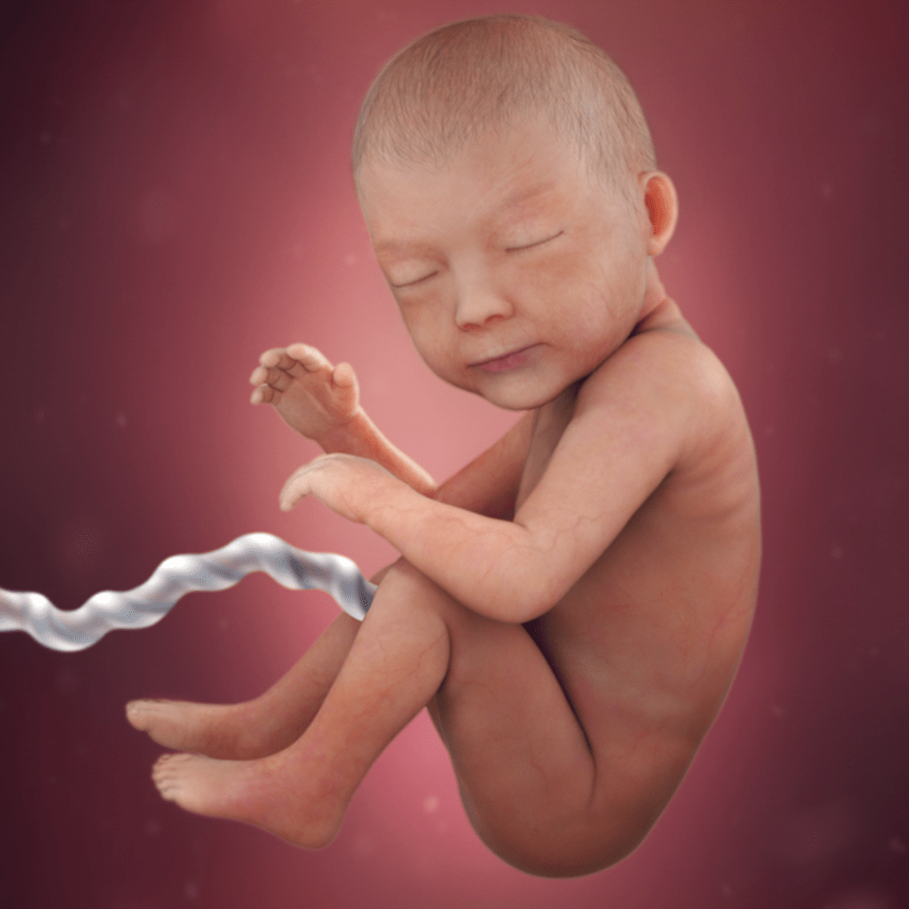 30 HƏFTƏ HAMİLƏLİK