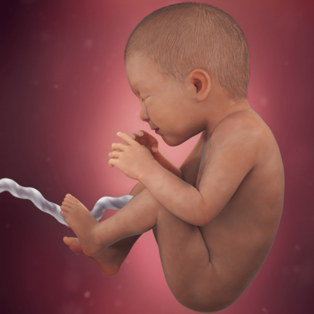 35 HƏFTƏ HAMİLƏLİK