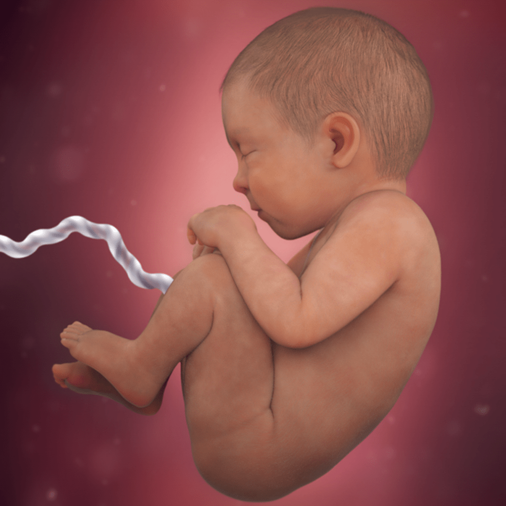 39 HƏFTƏ HAMİLƏLİK